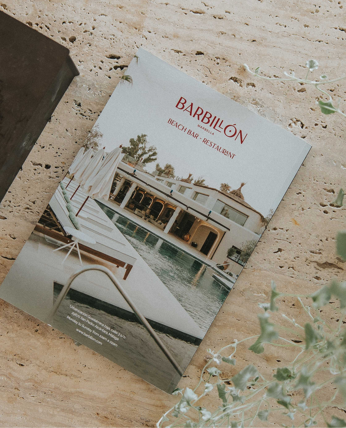 Barbillón Marbella | Beach Club & Restaurant in Marbella – Grupo Barbillón